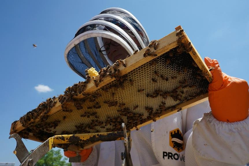 beginner s guide to beekeeping